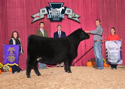 livestock expo 2022.